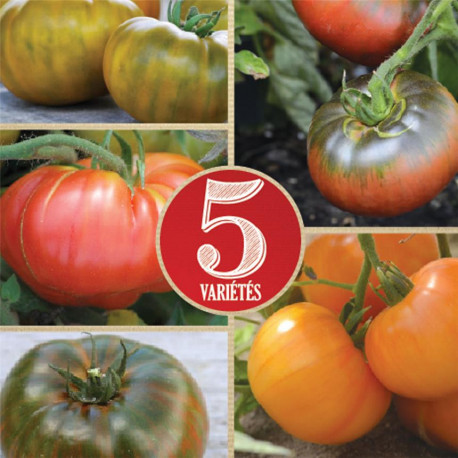 Mélange de 5 variétés de graines de grosses tomates bio
