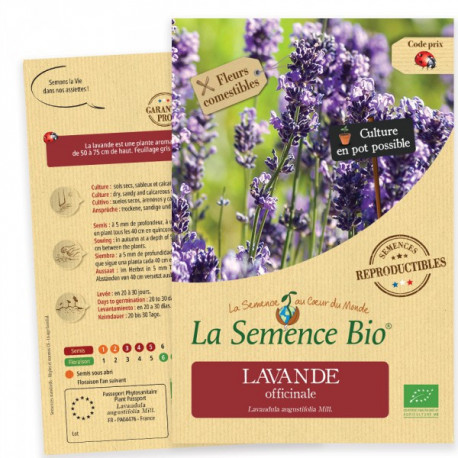 Graines Bio De Lavande Officinale Livraison Gratuite Graines Bio De Lavande Officinale Livraison Gratuite