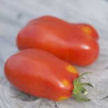 Tomate San Marzano 2 graines bio pour semis
