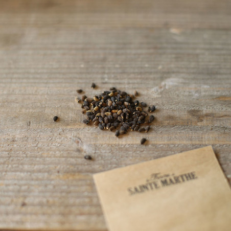 Graines De Bourrache Officinale - Sachet De Graines Pour Jardin - Plante Médicinale Et Comestible