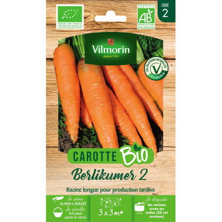 Graines bio à semer de carottes Berlikumer 2 de Vilmorin