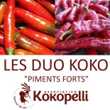 Duo PIMENTS FORTS BIO de Kokopelli