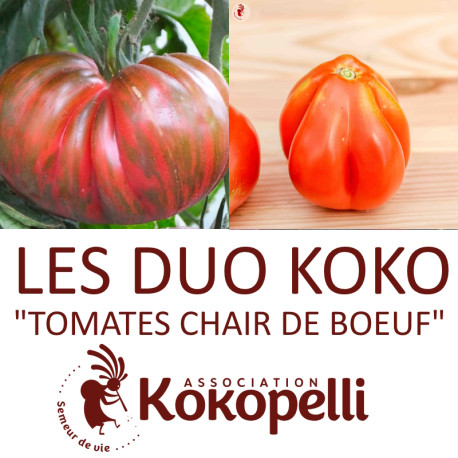 Duo TOMATES CHAIR DE BOEUF BIO de Kokopelli