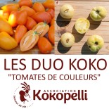 Duo TOMATES de COULEURS BIO de Kokopelli