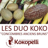Duo CONCOMBRES ANCIENS BRUNS BIO de Kokopelli