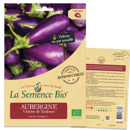 Graines bio pour semis d'aubergine Violette de Toulouse