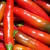 PIMENT FORT ROUGE DE MI-SAISON SERRANO