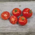 Petites tomates