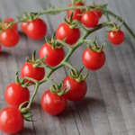 Tomates cerises